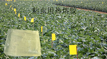 尊龙凯时人生就是博·Z6(中国)官方网站