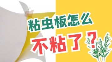 尊龙凯时人生就是博·Z6(中国)官方网站