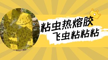 尊龙凯时人生就是博·Z6(中国)官方网站